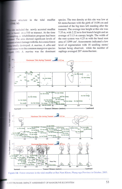 Tsunami Impact on Mangrove Ecosystems - aus dem Buch